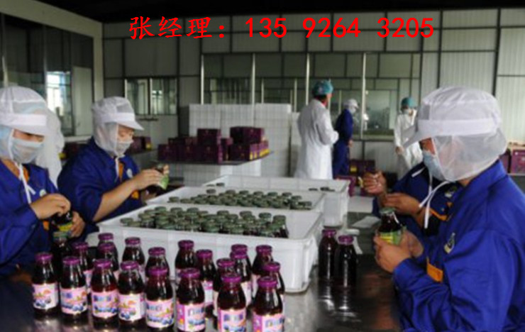 全套果汁飲料生產(chǎn)加工設(shè)備|瓶裝果汁生產(chǎn)線設(shè)備價格